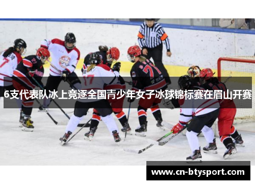 6支代表队冰上竞逐全国青少年女子冰球锦标赛在眉山开赛
